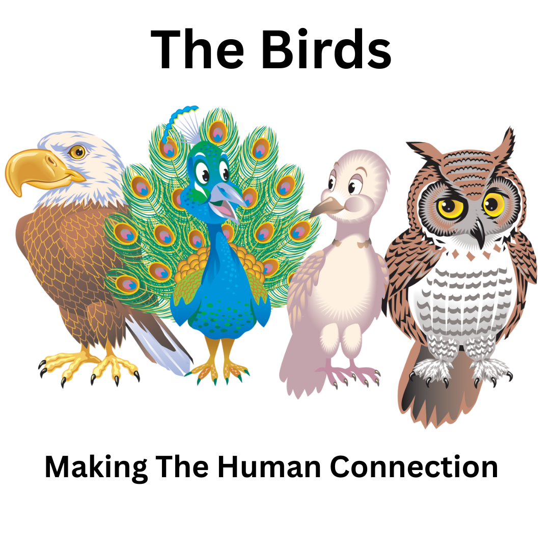 Understanding Personality and Communication Styles